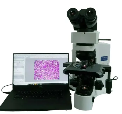 Olympus BX41 Upright Microscope with Apo/Fluorite Objectives and 10 MP Camera