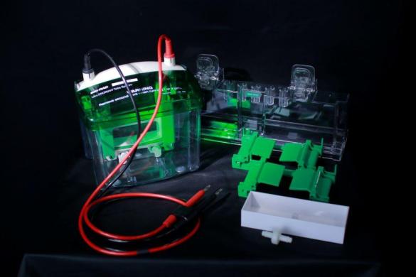 Bio-Rad Mini-PROTEAN Tetra Cell Vertical Gel Electrophoresis System Model 168-8001JA-cover