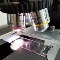 Olympus BX46 Laboratory Microscope with Tilting Head and Plan N Objectives, 6 of 7