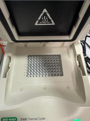 Bio-Rad T100 Thermal Cycler for Precise PCR Amplification with 96-Well Block-cover