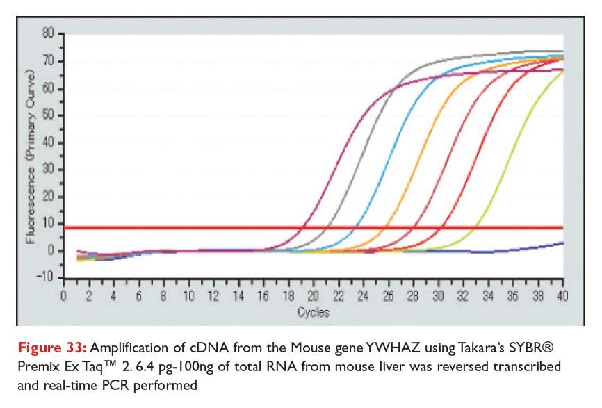 Takara Bio Inc. Ex Taq DNA Polymerase