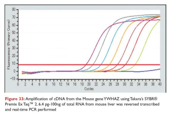 Takara Bio Inc. Ex Taq DNA Polymerase-cover