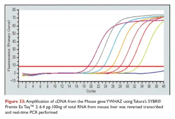 Takara Bio Inc. Ex Taq DNA Polymerase