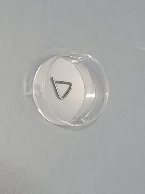 ZWIEBEL 100mg Class F1 Stainless Steel Calibration Weight
