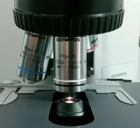 Olympus BX40 Compound Microscope with Dual Port Side-by-Side Teaching Bridge, 6 of 8