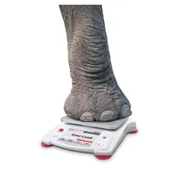 Ohaus Scout STX2202 Portable Scale, 9 of 19
