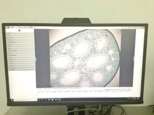 Olympus BX43F Upright LED Fluorescence Microscope with Integrated Imaging Workstation, 13 of 21