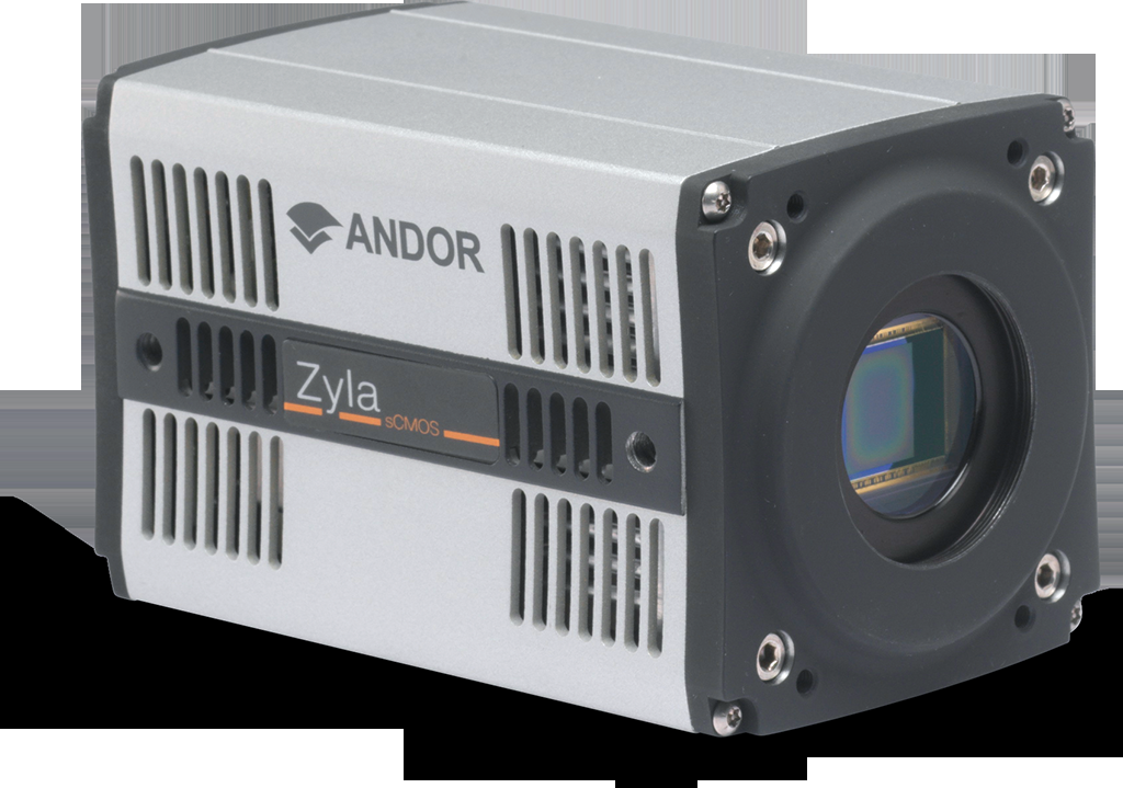 Andor Zyla