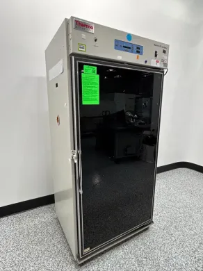 Thermo Reach-In CO2 Incubator