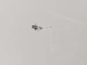 Bio-Rad Bio-Plex 200 Luminex Multiplex Immunoassay System for Protein Analysis, 17 of 27