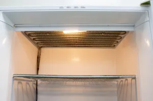Kenmore 253.9261110 Upright Freezer with Mechanical Temperature Control and 4 Wire Shelves, 6 of 12