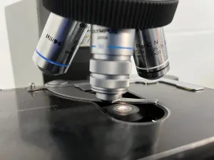 Olympus CX41RF Binocular Upright Microscope with Plan Objectives and Halogen Illumination, 18 of 19