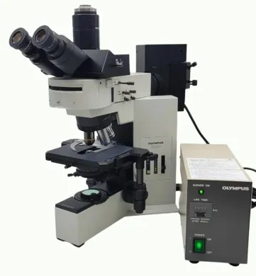 Olympus BX40 Fluorescence Microscope with Trinocular Head and 10x, 40x, 100x Objectives