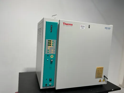 Thermo Scientific BBD 6220 Laboratory Drying Oven with Precise Temperature Control up to 180°C