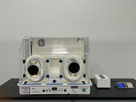 Whitley DG250 Anaerobic Workstation-cover