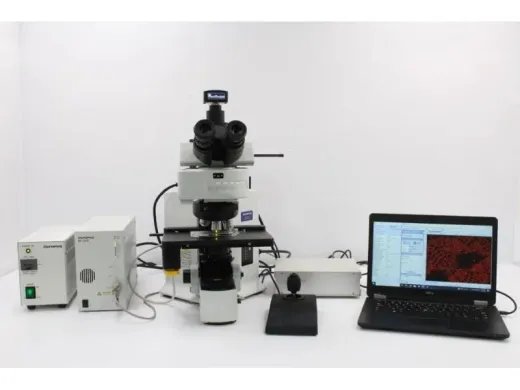 Olympus BX61