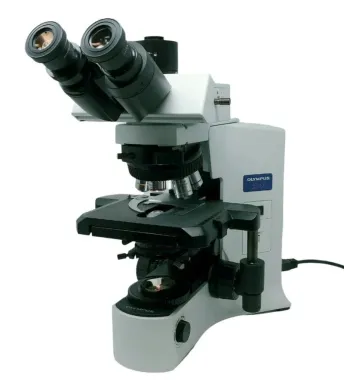 Olympus BX41 Compound Microscope with Trinocular Head and Multiple Objectives