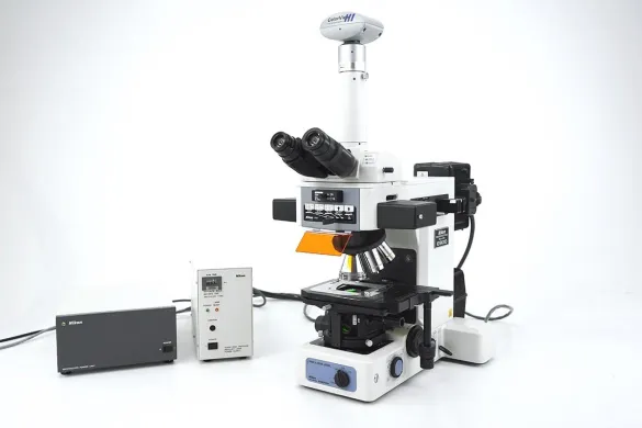 Nikon Eclipse E800 Upright Fluorescence Microscope with DAPI, FITC, and TRITC