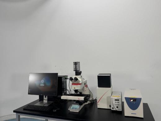 Leica DM6 B Upright LED Fluorescence Microscope w/ Motorized Stage-cover