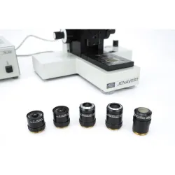 Carl Zeiss Jena Jenavert Trinocular Fluorescence Microscope 5x-100x, 3 of 11
