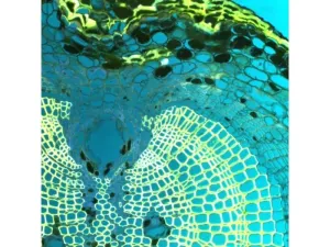 Thermo Scientific CellInsight CX7 LZR Confocal High Content Analysis Platform, 6 of 21