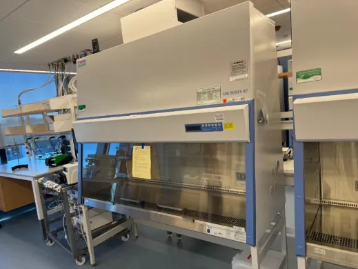 Thermo 1300 Series A2 6' BioSafety Cabinet