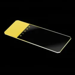 Globe Scientific Diamond® White Glass Color-Coded Microscope Slides with Clipped Corners 1384-50P, 3 of 5