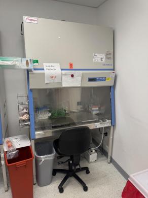 Thermo Fisher Scientific 1300 Series A2 Model 1375 Class II Type A2 Biosafety Cabinet 4'-cover