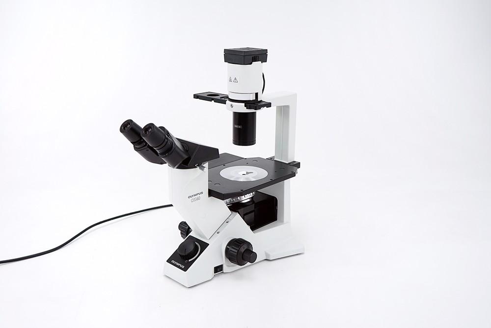 Olympus CKX40 Inverted Cell Culture Microscope with Phase Contrast and 4x/10x/40x Objectives