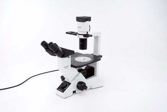 Olympus CKX40 Inverted Cell Culture Microscope with Phase Contrast, 4x/10x/40x Objectives-cover