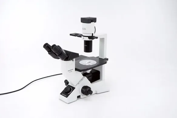 Olympus CKX40 Inverted Cell Culture Microscope with Phase Contrast, 4x/10x/40x Objectives