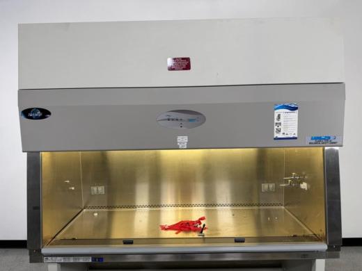 Nuaire Labgard ES Class II A2 6' Biosafety Cabinet NU-540-600-cover