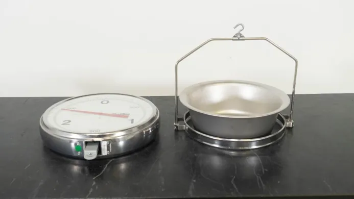 Chatillon 316L Hanging Scale for Precise Industrial Force Measurement