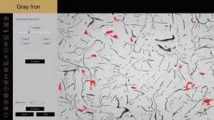 METRICAL Metallurgical and Materials Analysis Software, 9 of 17