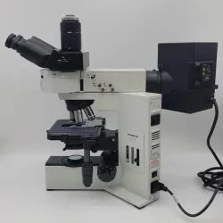 Olympus BX40 Fluorescence Microscope with Trinocular Head and 10x, 40x, 100x Objectives, 3 of 8