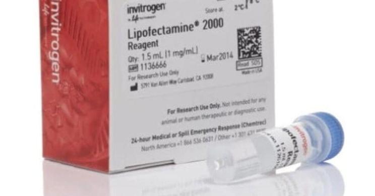 Invitrogen Lipofectamine 2000-cover