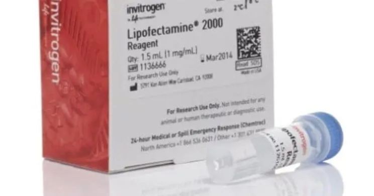 Invitrogen Lipofectamine 2000