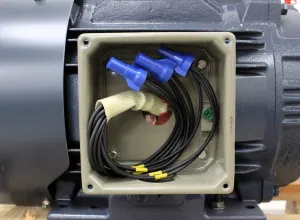 Leeson D256T17FB8A 20 HP 3-Phase 1800 RPM Totally Enclosed Fan Cooled Motor, 5 of 8