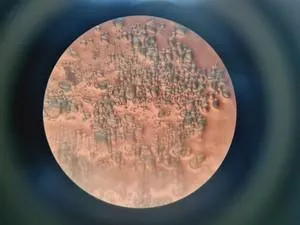 Motic AE21 Series Trinocular Inverted Microscope with Objectives, 15 of 28