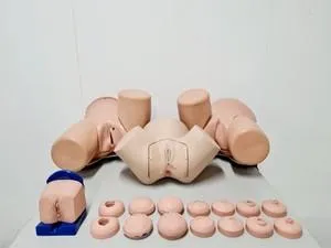 Maternity Birthing Simulator Cervix Examination, 4 of 8
