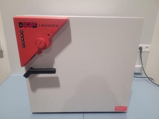 BINDER BD-53 Natural Convection Laboratory Incubator and Oven, 100°C-cover