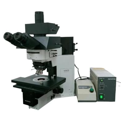 Olympus BX50WI Upright Fluorescence Microscope with Water Immersion and Multiple Illumination Options-cover