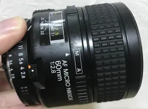 Nikon ×60, 2 of 2