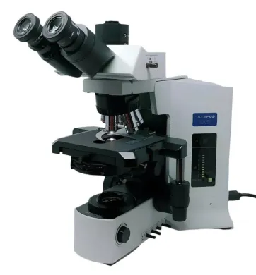 Olympus BX51 Microscope with Phase Contrast and Trinocular Head