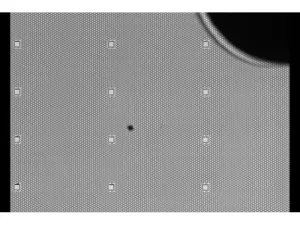 BD Rhapsody Scanner Single-Cell Analysis System with Rhapsody Express for High-Throughput Multiomic Profiling, 13 of 18