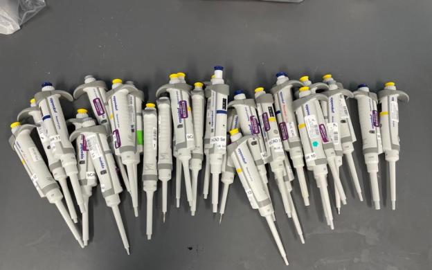 Eppendorf Research Plus Single Channel Micropipettes for Precision Liquid Handling-cover