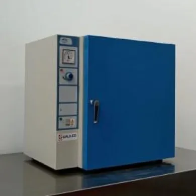 Selecta Conterm Drying and Sterilization Oven with Natural Convection