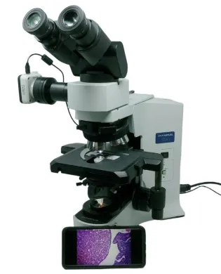 Olympus BX41 Microscope with 2x, 60x Objectives and WiFi Camera