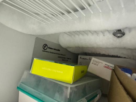 Thermo Fisher Scientific Isotemp Undercounter Freezer for Biohazard Sample Storage-cover