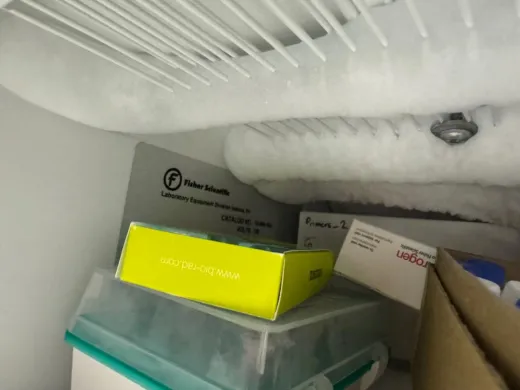 Thermo Fisher Scientific Isotemp Undercounter Freezer for Biohazard Sample Storage